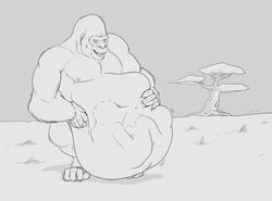 anal_vore anthro belly bulge feral gorilla gut male_only strikeanywhere vore