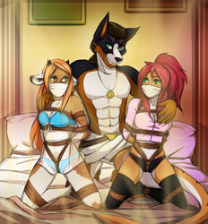 1boy 2girls akinasilver antelope anthro anthro_only arms_behind_back bed bondage bra canine chinook chinook_(crosis278) crosis female femsub gag kneeling male maledom multiple_girls multiple_subs panties rope shark tori tori_(drpossibly) tori_atlis underwear