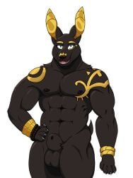 absurd_res adastra adastra_(series) animal_genitalia anthro canid canine canis echo_project fur genitals gold_(metal) gold_jewelry grey_body grey_fur hi_res jackal jewelry knot male mammal misterai muscular muscular_male neferu_(adastra) sheath solo
