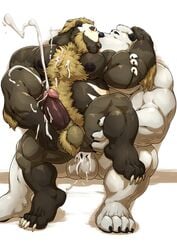 2boys anal anal_sex bara barret_(shirteater18) bear chubby cum duo erection furry grisser male mammal muscular muscular_male nipples nude orgasm overweight overweight_male penetration penis pubic_hair testicles thick_thighs yaoi