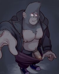 anthro ape balls clothed clothing erection glitter_trap_boy gorilla hi_res high-angle_view illumination_entertainment jacket johnny_(sing) looking_away male male_focus male_only mammal musclegut nipples open_shirt pants_pull pecs penis primate pubes reaching_towards_viewer signature sing_(movie) solo standing uncut