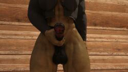 3d daz_studio dickgirl futanari green_skin horsecock jerking masturbation orc spodvohomg tagme taker_pov video