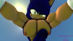 3d 3d_(artwork) anthro blue_body blue_fur blue_skin buff buff_male gay homieyoshi looking_at_viewer male male/male muscular muscular_male nipples penis pov sega smirk smirking smirking_at_viewer sonic_(series) sonic_the_hedgehog sonic_the_hedgehog_(series) text