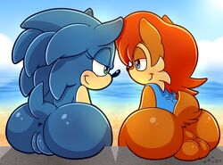sally acorn from sega