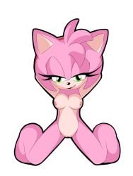 amy_rose j_nsfw sonic_(series) sonic_the_hedgehog_(series)