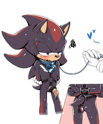 7624cq anal arms_behind_back balls bondage collar dildo gag leash male male_urethral_insertion malesub penis shadow_the_hedgehog sonic_(series) urethral_insertion yaoi