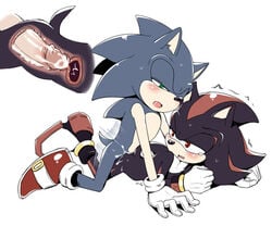 7624cq anal balls blue_fur cum cum_in_ass furry gay hedgehog male mammal penis shadow_the_hedgehog sonadow sonic_(series) sonic_the_hedgehog x-ray