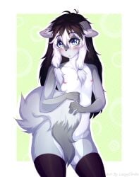 asher_allure black_hair blue_eyes blush canid canine canis ears_outwards femboy fur grey_body grey_fur hair hi_res hiding_behind_tail lazy_simba mammal nude nude_anthro pivoted_ears wolf