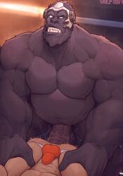 abs absurd_res anal anal_sex anthro anvil_position ape areola balls blizzard_entertainment bodily_fluids bulge clenched_teeth clothed clothing detailed_bulge duo from_front_position fur genitals gorilla haplorhine headgear hi_res human human_on_anthro humanoid_genitalia humanoid_penis interspecies jockstrap leg_grab legs_up male male/male mammal muscular muscular_anthro muscular_arms muscular_human muscular_male musk musk_clouds nipples nude overwatch pecs penetration penile penile_penetration penis penis_in_ass primate red_clothing red_jockstrap red_underwear sex sweat teeth topless underwear vein veiny_penis winston_(overwatch) wolf_con_f yellow_eyes