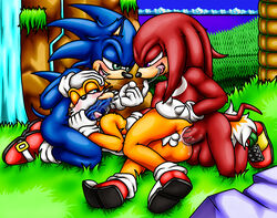 anal anal_sex anthro anus ass balls canine echidna erection fellatio fox furry group group_sex happyanthro hedgehog highres knuckles_the_echidna male male_only mammal monotreme oral penetration penis sex sonic_(series) sonic_the_hedgehog spitroast tails team_sonic yaoi