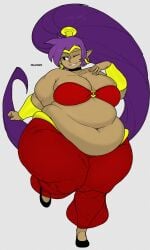 shantae (character) from shantae by delucksdx
