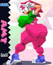 amy rose from sonic (series) by flickermat