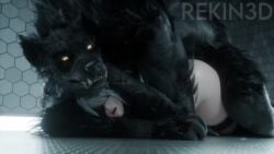16:9 2026 3d 3d_(artwork) 3d_animation ambiguous_penetration animal_genitalia animal_penis animated anthro anthro_penetrating anthro_penetrating_human ass ass_up balls big_penis black_body black_clothing black_fur black_latex black_legwear black_thigh_boots black_thigh_highs blindfold bodily_fluids boots breedable_hips butt_jiggle canid canine canine_genitalia canine_penis canis clothing cum cum_explosion cum_inside cum_on_butt cum_on_ground cum_on_self digital_media_(artwork) doggy_style dominant dominant_anthro dominant_male duo erection evilzorak_(sound) excessive_cum excessive_genital_fluids eye_roll female female_penetrated footwear from_behind_position fromyourmouth_(va) fur genital_fluids genitals grey_hair hair hand_on_head high_heeled_boots high_heels human human_on_anthro human_penetrated interspecies jiggling knot knotted_penis knotting larger_anthro larger_male latex latex_boots latex_clothing latex_footwear latex_legwear latex_thigh_boots latex_thigh_highs legwear long_playtime longer_than_30_seconds looking_pleasured male male/female male_penetrating male_penetrating_female mammal mokujinh_(modeler) mythological_canine mythological_creature mythology nier:_automata nier_automata obscured_penetration opennsfwsp_(sfx) penetration penile penile_penetration penis platinumgames rape rekin3d rough_sex sex shoes short_video shorter_than_one_minute size_difference smaller_female smaller_human sound sound_warning submissive submissive_female submissive_human tagme tail thick_thighs thigh_boots thigh_highs video voidslut_(va) werecanid werecanine werecreature werewolf widescreen wolf yellow_eyes yorha_2b