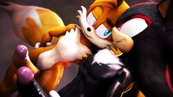 3d anthro big_penis erection male penis shadow_the_hedgehog sonic_(series) sonicfoxhound source_filmmaker tails teasing yaoi