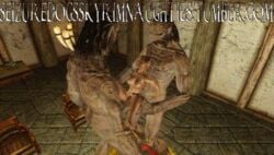 bethesda_softworks female game_screenshot giant seizuredogsskyrimnaughties sexlab skyrim tesv the_elder_scrolls threesome