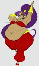 shantae (character) from shantae by delucksdx
