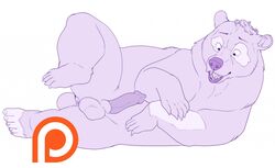 1boy anus balls bear black_lips brother_bear claws disney erection feral laying_down limited_palette male male_only mammal monochrome patreon paws penis shadowpelt sharp_teeth simple_background solo tail teeth transformation watermark white_background