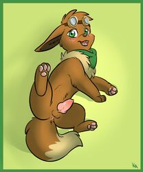 1boy 2017 anus ass brown_fur canine canine_penis digital_media_(artwork) eevee feral front_view full-length_portrait fur furry green_background green_border kimbasnowpaw knot looking_at_viewer male male_only mammal nintendo no_nipples open_mouth original_character paws penis pokemon portrait presenting shaded simple_background smile solo tail testicles video_games