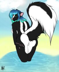 2016 5_fingers anthro ass beach bent_over big_tail biped black_fur black_lips black_tail blaze_(marking) blue_hair blue_sky claws cloud cyiakanami day digital_media_(artwork) female fur gradient_hair green_eyes hair hi_res lips long_hair long_tail looking_at_viewer looking_back mammal mavourneen multicolored_fur multicolored_tail nude partially_submerged pink_nose presenting presenting_hindquarters pussy rear_view sea seaside signature skunk sky snout solo two_tone_fur two_tone_tail url water white_fur white_tail