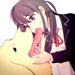 yukinoshita yukino from my teen romantic comedy snafu by monamin