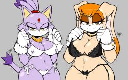 blaze the cat from sonic (series) by a1x1az