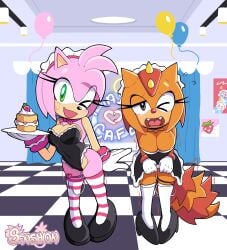 amy rose from sega by senshion