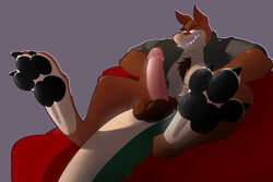 abs anthro balls big_feet brown_fur canine claws clothing crash_(series) crocodilian dingo dingodile erection fur hybrid male male_only mammal marsupial nipples penis reptile scalie simple_background solo teeth video_games zenalle_(artist)