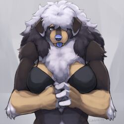 2014 black-kalak blue_nose blue_tongue bra canine elbow_tufts female fluffy grey_eyes hair_over_one_eye looking_at_viewer mammal muscular muscular_female neck_tuft tongue tongue_out tuft underwear