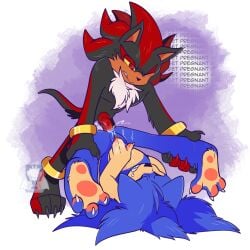 shadow the hedgehog from sega by impydragon