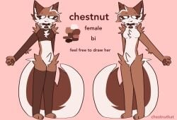 bedroom_eyes chestnut_kat feline_humanoid furry_female furry_only kit_community naked reference_sheet thighhighs