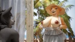 16:9 3d_(artwork) anthro areola big_breasts blender_(artwork) breasts canid canine canis clothing dark_areola dark_nipples digital_media_(artwork) disney dress duo felid female flashing flashing_breasts fur hat headgear headwear hi_res lion male mammal mayosplash_(modeler) mmdrawstuff nala nala_(the_lion_king) nipples nude_beach orange_body orange_fur outside pantherine ricky_(mmad) sun_hat sundress the_lion_king translucent translucent_clothing widescreen wolf