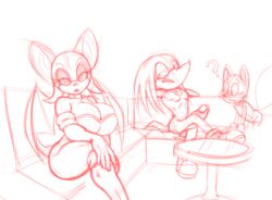 ? anthro balls bar big_breasts breasts canine cleavage clothed clothing echidna erection female fox group knuckles_the_echidna male mammal membranous_wings monotreme penis rouge_the_bat sonic_(series) sonic_x tails teer wings