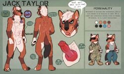 1boy anthro balls canid canine canine_penis character_sheet dhole erection furry jack_taylor kelevtov knot male male_only model_sheet penis scars solo