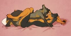 anthro canine dash dashwood doberman fox furry jenette kelevtov missionary sex size_difference