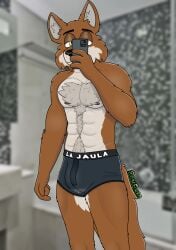 abs absurd_res anthro areola bathroom black_briefs black_clothing black_eyebrows black_underwear blurred_background bodily_fluids body_hair briefs briefs_only brown_body brown_fur brown_tail bulge canid canine canis cellphone chest_hair clothed clothing donfurro ear_tuft electronics eyebrows fur genital_fluids hair happy_trail hi_res holding_cellphone holding_object holding_phone male mammal markings mexican_wolf nipples pecs phone pose precum precum_through_clothing precum_through_underwear pupils selfie solo tail text topless tuft underwear underwear_only wet wet_clothing white_body white_fur wolf yellow_pupils