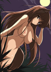 1girls animal_ears breasts brown_eyes brown_hair completely_nude completely_nude_female grass holo large_breasts long_hair night nipples nude nude_female nudist outdoors outside pointy_chin shijou shijou_sadafumi spice_and_wolf tail