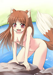 1girls 5_fingers animal_ears blush breasts brown_body brown_fur brown_hair completely_nude completely_nude_female dipstick_ears dipstick_tail fangs female fingers front_view fur grass holo humanoid humanoid_hands inner_ear_fluff leaning leaning_forward long_hair mammal mammal_humanoid medium_breasts multicolored_ears multicolored_tail nipples nude nude_female nudist open_mouth outdoors outside partially_submerged pink_eyes raised_tail red_eyes rock six_alchemy skinny_dipping solo spice_and_wolf tail tan_body tan_skin tekehiro tuft water white_fur wolf wolf_ears