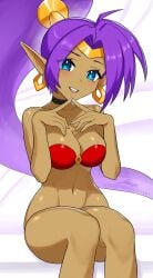 1girls female revenantart shantae shantae_(character) solo solo_female tagme