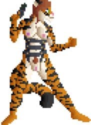 affectos anthro areola breasts button_(disambiguation) digital_media_(artwork) exposed feline female fighting_stance gun hair handgun harness holding_object holding_weapon mammal nipples pistol pixel_art pubes pussy ranged_weapon smile solo sprite_art standing straps stripes tiger transparent_background weapon