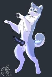 akita akita_inu animal_genitalia animal_penis canid canine canine_genitalia canine_penis canis domestic_dog feral genitals gin_(ginga) ginga_(series) hi_res knot male mammal metalfox penis presenting solo spitz