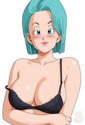 breasts bulma_briefs dragon_ball dragon_ball_(series) dragon_ball_super dragon_ball_z female female_only horny loose_bra mrfluffypotato