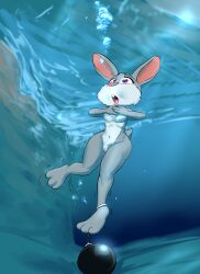 1girls absurd_res anthro asphyxiation barely_visible_genitalia barely_visible_pussy breasts buckteeth byondrage disney drowning female gasping_for_air genitals hi_res imminent_death judy_hopps lagomorph leporid mammal navel open_mouth purple_eyes pussy rabbit scut_tail short_tail solo tail teeth torture underwater uvula water weights zootopia