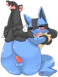 1boy 3_fingers anthro anus ass awkward balls black_fur blue_fur blush canine claws cute ehime_mikan erection fur furry hindpaw leg_grab legs_up lucario male male_only mammal nintendo open_mouth pawpads paws penis pokemon pokemon_(species) red_eyes shy simple_background solo spikes teeth thick_thighs tongue white_background wide_hips yellow_fur