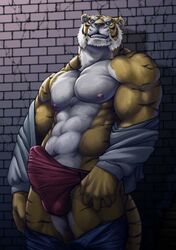 anthro bomb_(artist) bulge erection feline male male_only mammal muscular nipples tiger