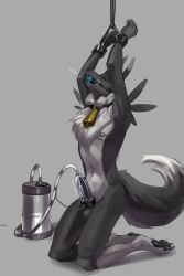 absurd_res anthro ball_gag bandai_namco bondage chilldog cowbell cuff_(restraint) digimon digimon_(species) gag handcuffs hi_res machine male metal_cuffs milking_cum milking_machine penile penis_milking renamon restraints solo solo_focus