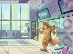 anthro blush breasts canid canine casual_nudity clothed clothing coyoteesquire day detailed_background duo electronics female genitals harper_hightower hi_res inside laundry looking_at_object looking_at_phone mammal maned_wolf nipples nude pawpads phone public public_nudity pussy slightly_chubby surprise wide_eyed