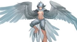 abs absurdres bird_ears bird_legs bird_tail bird_wings blue_hair breasts brown_eyes claws feathered_wings female flying frown harpy highres less looking_at_viewer monster_girl navel nipples nude short_hair simple_background solo spread_wings white_background wings