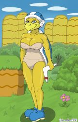 1girls big_breasts big_thighs blue_eyes blue_helmet blue_shell blue_shoes boomerang boomerang_bros. breasts bushes cleavage curvy female grass helmet hills holding_boomerang koopa looking_at_viewer mario_(series) nintendo outdoors shell shoes solo super_mario_bros. thick thick_hips thick_thighs thighs turtle unknowndraw6798 wide_hips yellow_skin