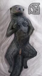 anthro anus bed binturong black_fur breast_grab breasts cosmiclife female fur hand_on_breast lying mammal on_back pussy resting semi-anthro solo