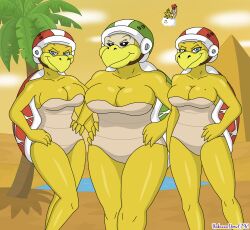 anthro breasts desert fire_bros. hammer_bros. lakitu_girl mario mario_(series) nude sex shell super_mario_bros. unknowndraw6798